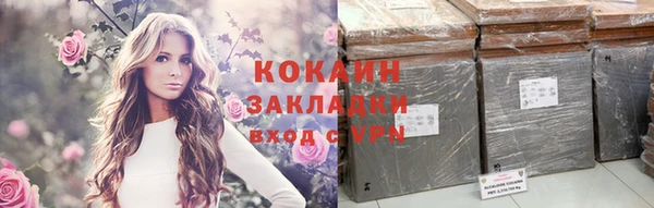 ПСИЛОЦИБИНОВЫЕ ГРИБЫ Медвежьегорск