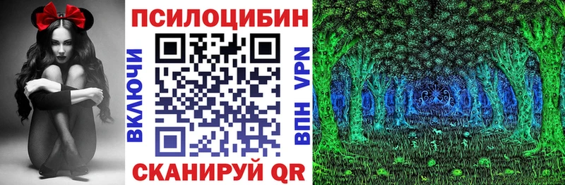 Купить Кукмор Псилоцибиновые грибы Psilocybine cubensis